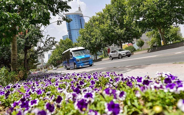 Başkent Büyükşehir'in Yerli Yaz Çiçekleriyle Şimdi Daha Güzel